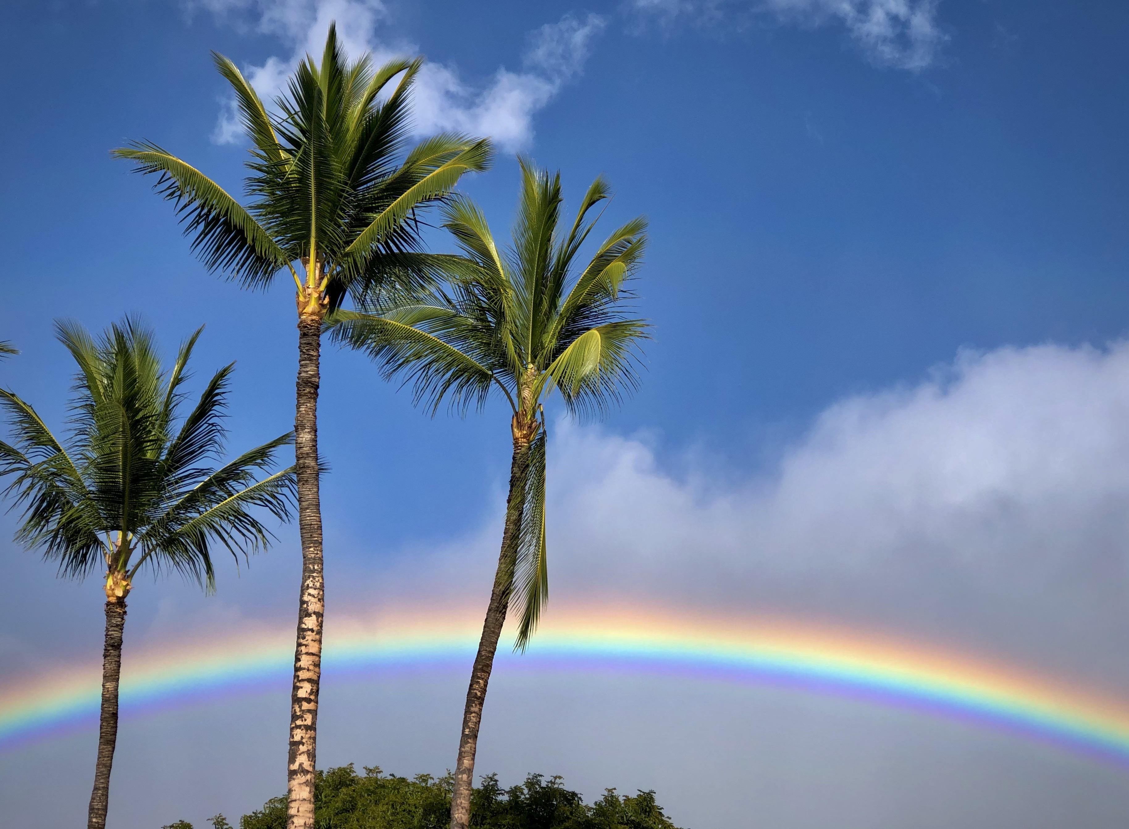 Lahaina Rainbow2